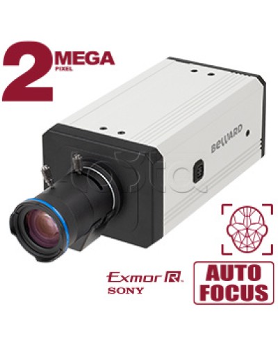 IP-камера видеонаблюдения купольная Beward SV2218M2 в Электростали IP-камеры Pintop.ru