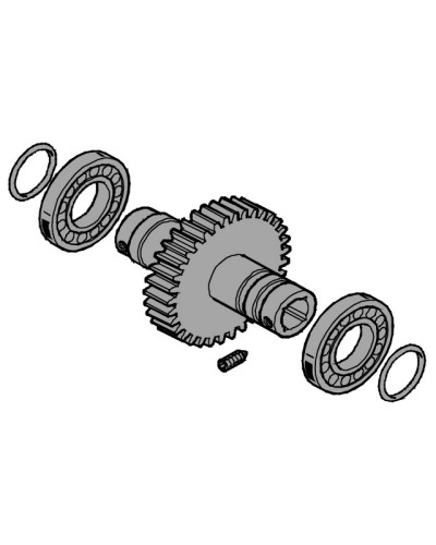 Вал выходной EMEGA Came 119RIE062 в Электростали Запчасти для шлагбаумов и автоматики Pintop.ru