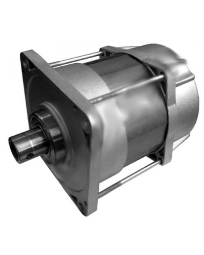 Электродвигатель E1024 Came 119RIE072 в Электростали Запчасти для шлагбаумов и автоматики Pintop.ru