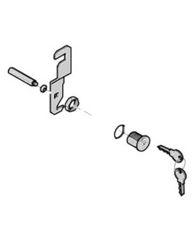 Замок дверцы G4040 G4041 Came 119RIG176 в Электростали Запчасти для шлагбаумов и автоматики Pintop.ru