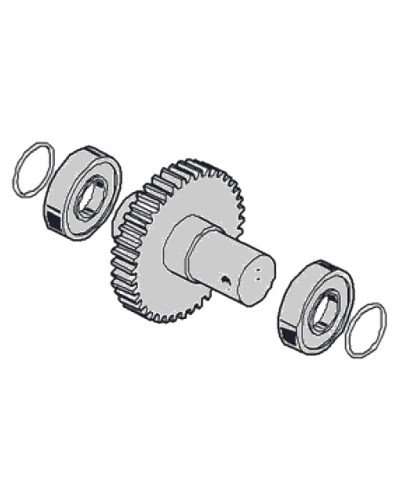 Моторедуктор G2081 G2081I Came 119RIG197 в Электростали Запчасти для шлагбаумов и автоматики Pintop.ru