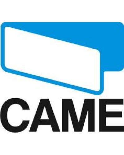 Замок дверцы Came 119RIG213 в Электростали Запчасти для шлагбаумов и автоматики Pintop.ru