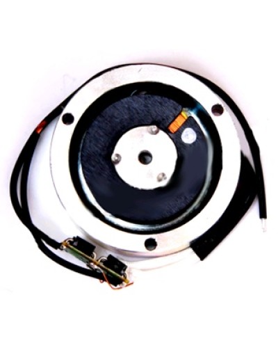 Электромагнит BY1500T Came 119RIY034 в Электростали Запчасти для шлагбаумов и автоматики Pintop.ru