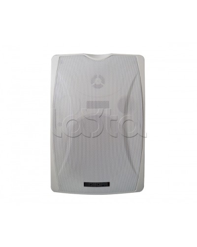 IP-громкоговоритель DSPPA POE-6463W в Электростали Система оповещения и трансляции Dsppa Pintop.ru