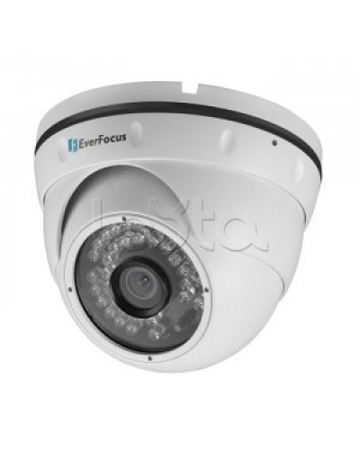 IP-камера видеонаблюдения купольная EverFocus ACE-IAV30 в Электростали IP-камеры Pintop.ru