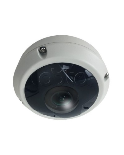 IP-камера видеонаблюдения купольная EverFocus ACE-KU89F в Электростали IP-камеры Pintop.ru