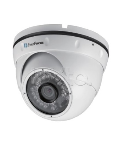 IP-камера видеонаблюдения уличная купольная EverFocus EBN-268 в Электростали IP-камеры Pintop.ru