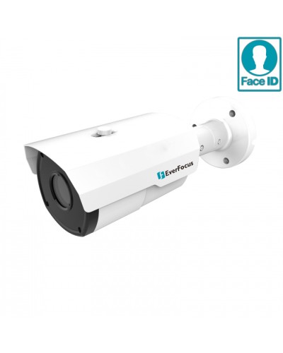 IP-камера видеонаблюдения в стандартном исполнении EverFocus EZN-2550 в Электростали IP-камеры Pintop.ru