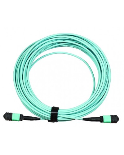 Сборка кабельная LANMASTER (LAN-12M-12M/OM3B-10) в Электростали Коннекторы Pintop.ru