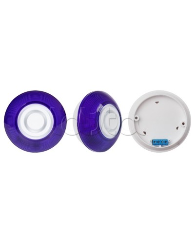 Оповещатель комбинированный SLT Марс 12-КП (строб, син) в Электростали Оповещатели Pintop.ru