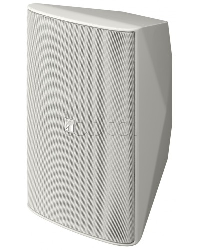 Громкоговоритель 2 полосный TOA F-2000 WT в Электростали Системы оповещения и трансляции TOA Pintop.ru